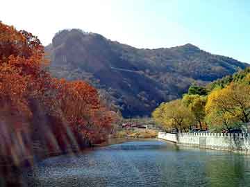 新澳天天开奖资料大全旅游团，青岛女孩